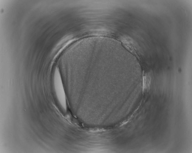 X0000086050243200704202043