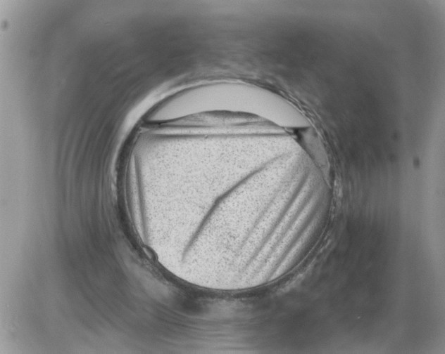 X0000086050246200704202043