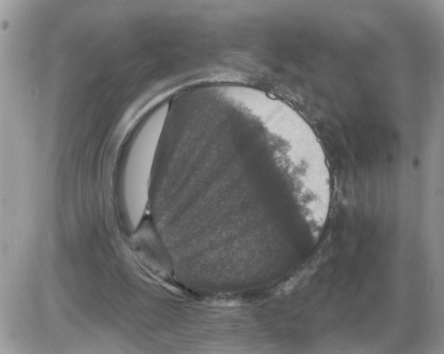 X0000086050247200704202043