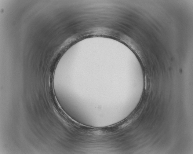 X0000086050253200704202043