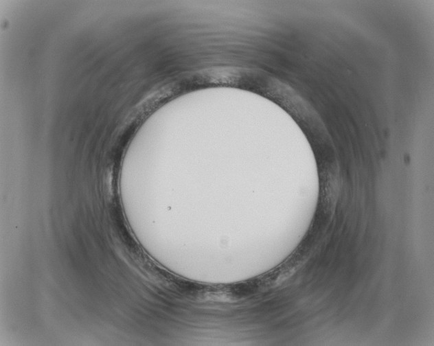 X0000086050262200704202043