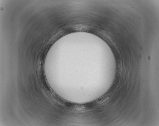 X0000086050263200704202043