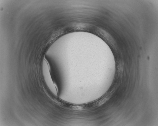 X0000086050265200704202043