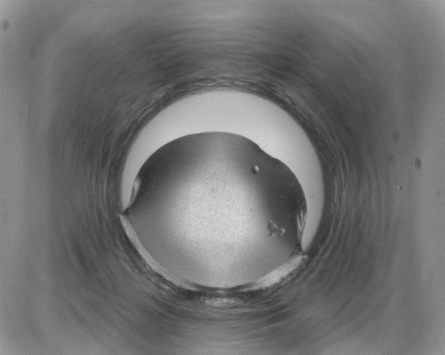 X0000086050268200704202043