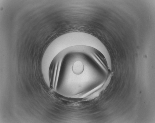 X0000086050276200704202043