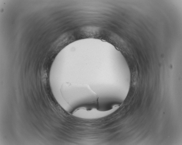 X0000086050279200704202043