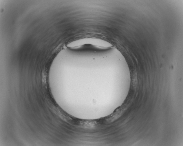 X0000086050282200704202043