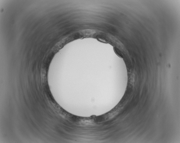 X0000086050283200704202043