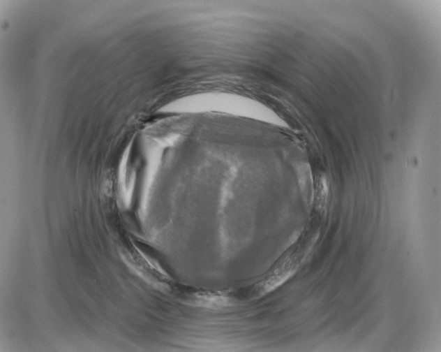 X0000086050284200704202043