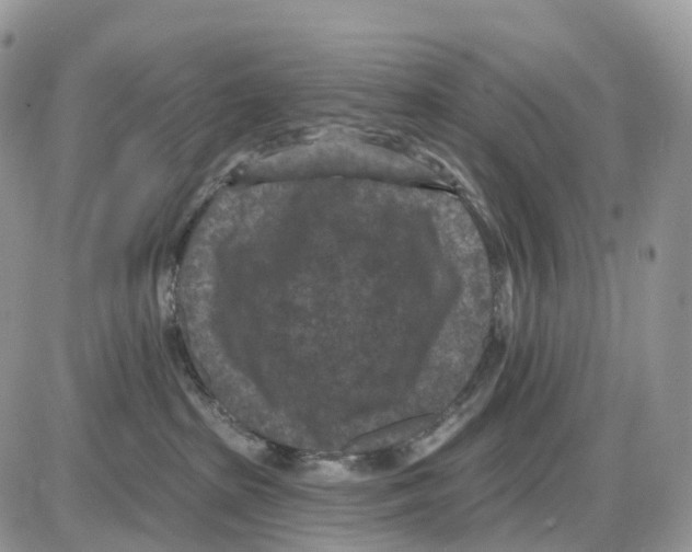 X0000086050285200704202043