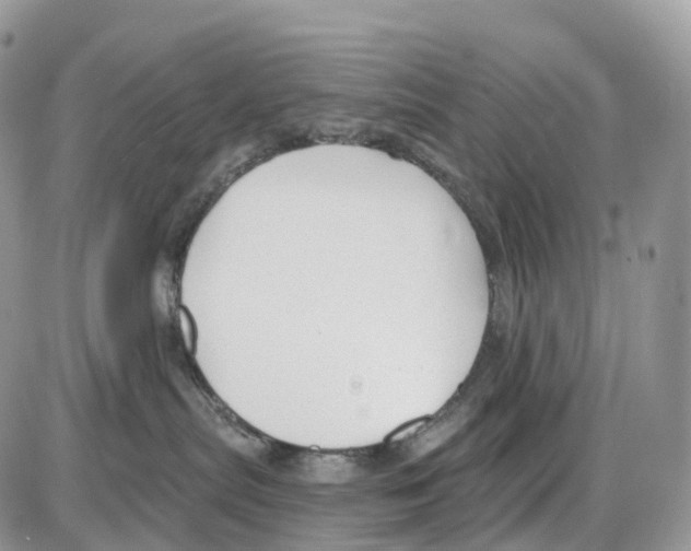 X0000086050287200704202043