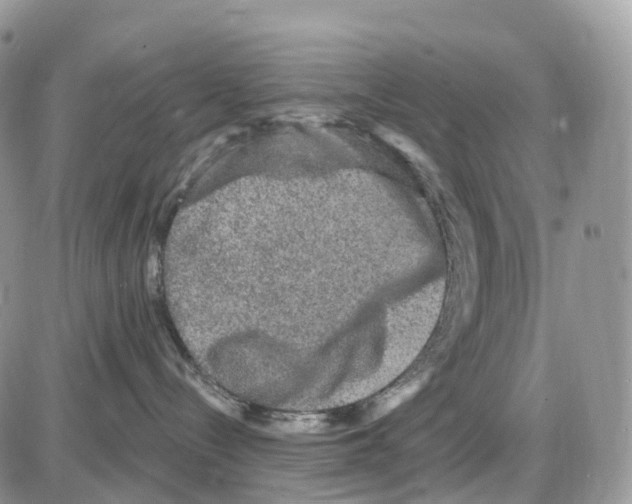 X0000086050288200704202044