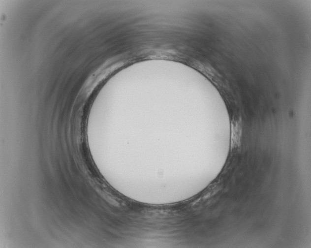 X0000086050291200704202043