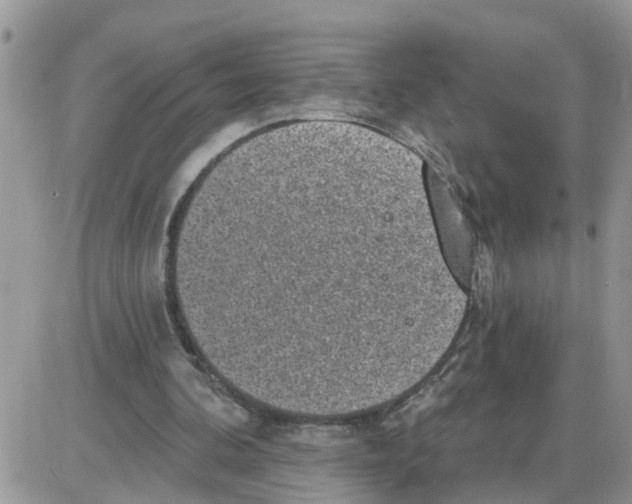 X0000086050292200704202043