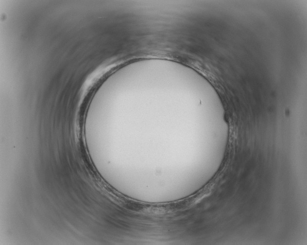 X0000086050294200704202043