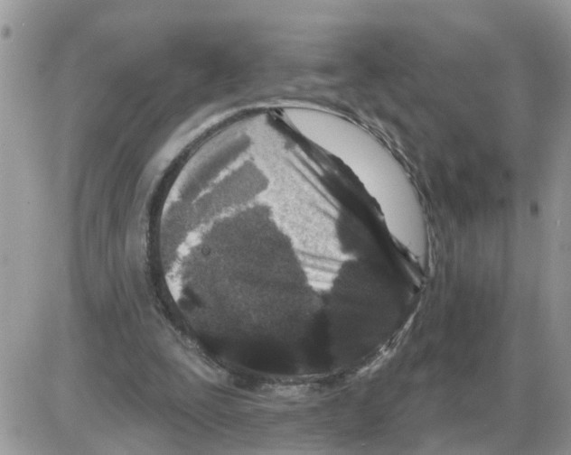 X0000086050295200704202043