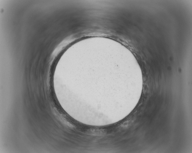 X0000086050296200704202043