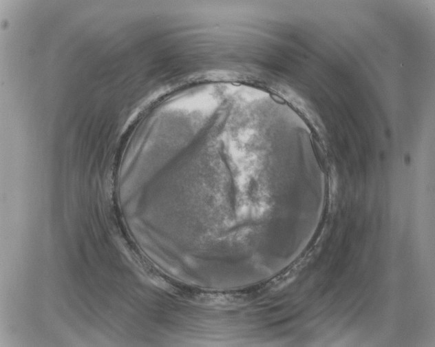 X0000086050297200704202043