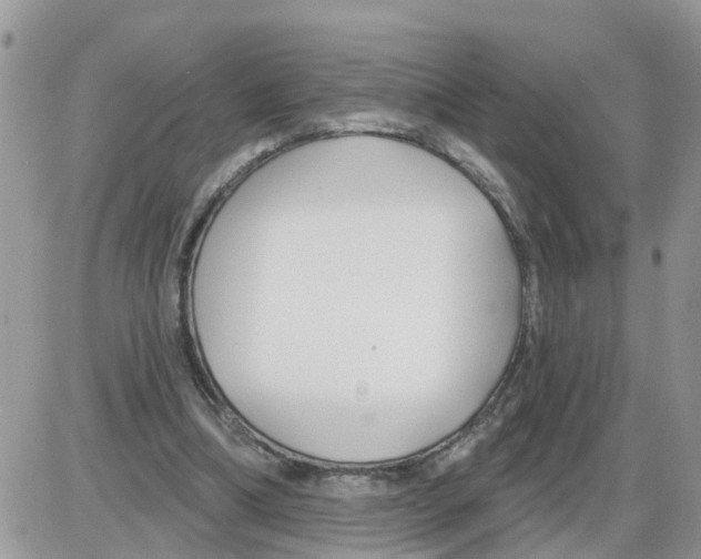 X0000086050298200704202043