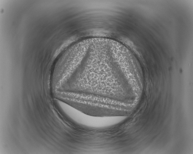 X0000086050299200704202043