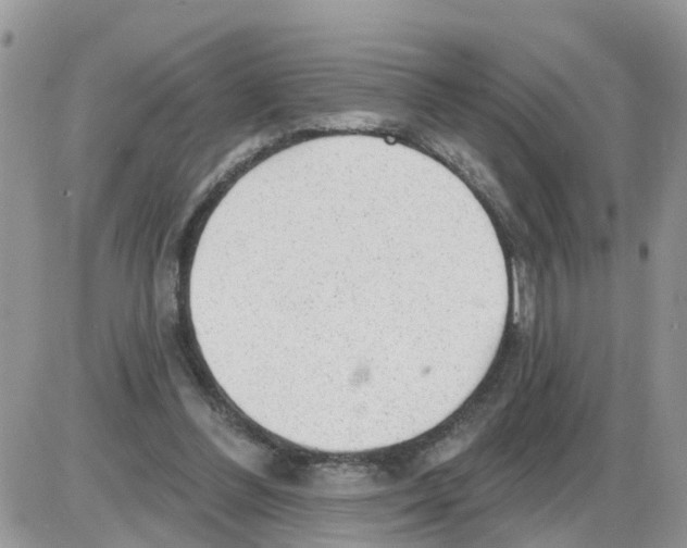 X0000086050300200704202043