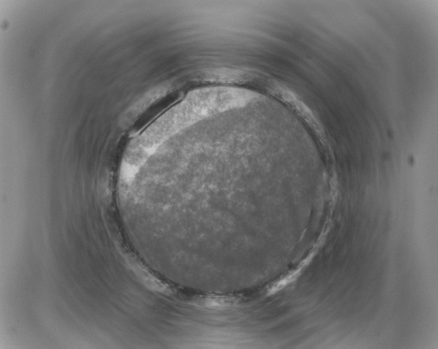 X0000086050305200704202042