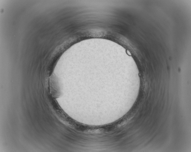 X0000086050307200704202042