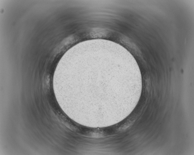 X0000086050308200704202042