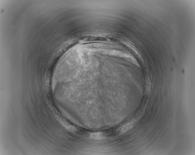 X0000086050309200704202042