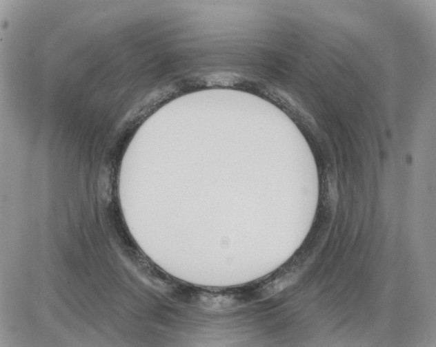 X0000086050311200704202042