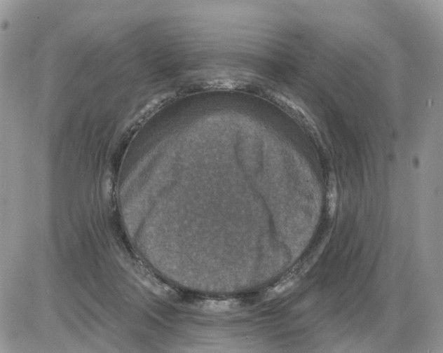 X0000086050314200704202042