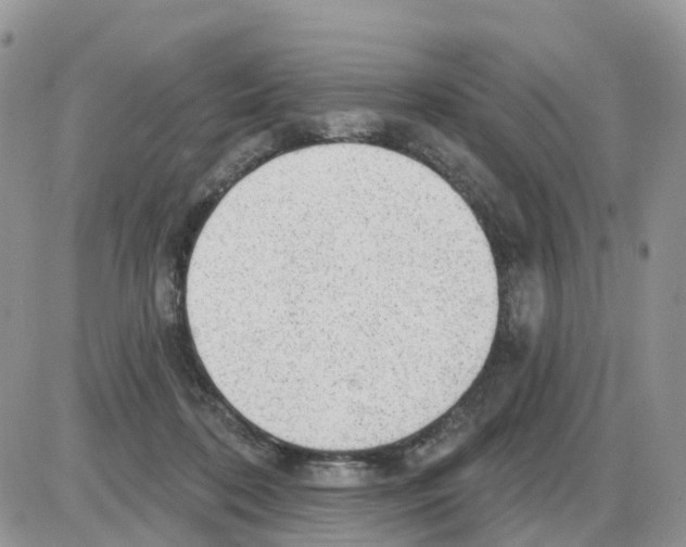 X0000086050316200704202042