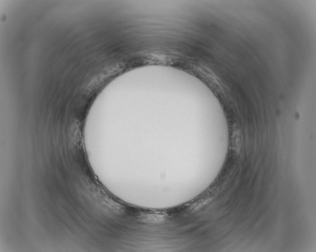 X0000086050318200704202042