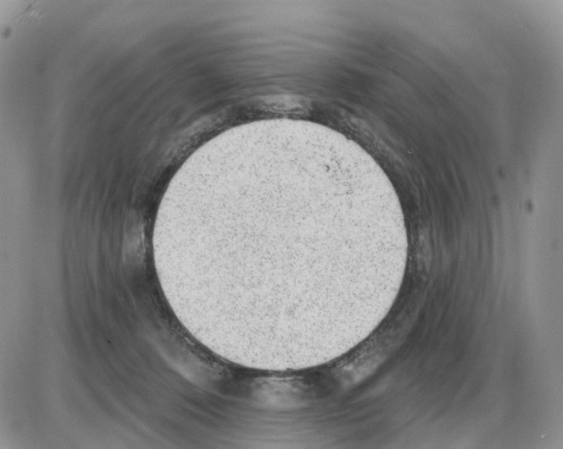 X0000086050320200704202042