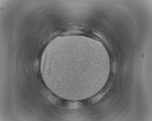 X0000086050321200704202042