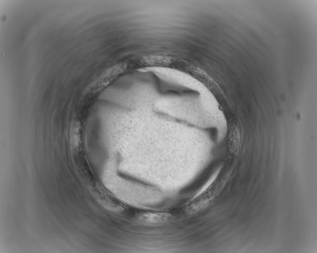 X0000086050323200704202042