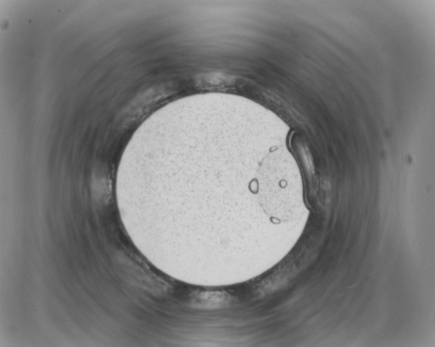 X0000086050324200704202042