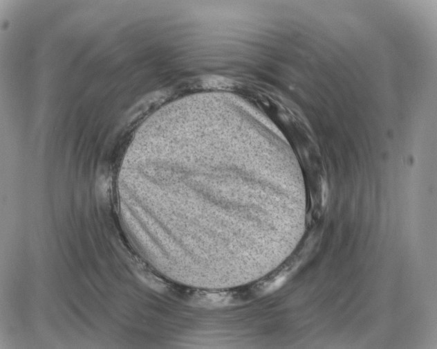 X0000086050329200704202042