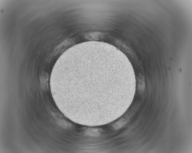 X0000086050332200704202042