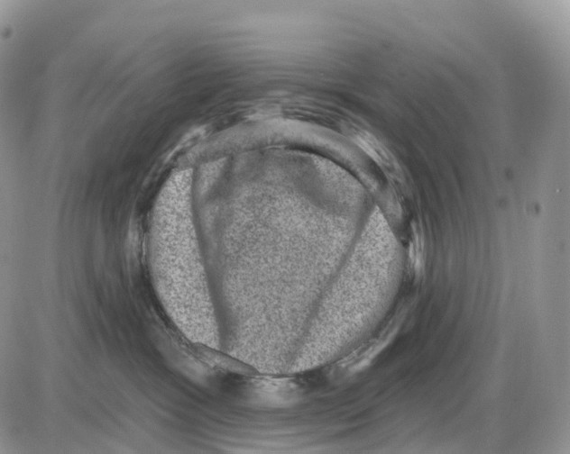 X0000086050333200704202042