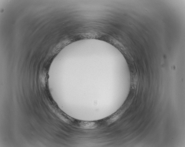 X0000086050334200704202042