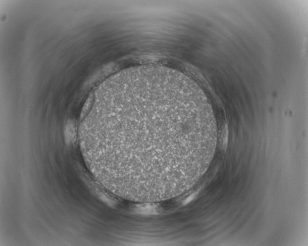 X0000086050335200704202042