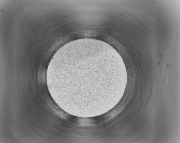 X0000086050336200704202042