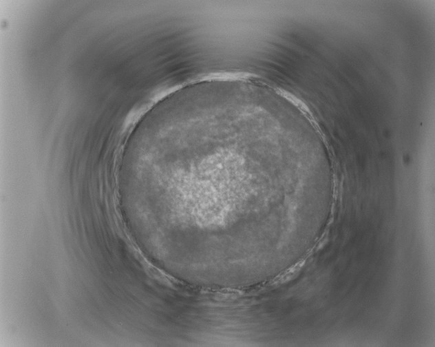 X0000086050337200704202041