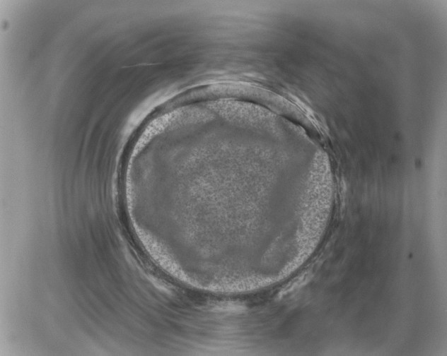 X0000086050340200704202041