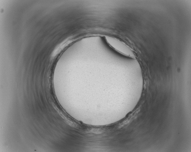 X0000086050341200704202041