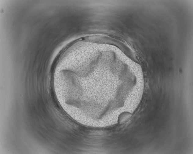 X0000086050342200704202041