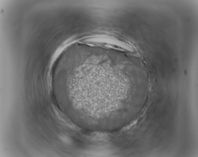 X0000086050343200704202041