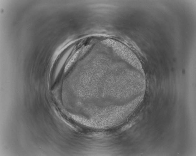 X0000086050344200704202041