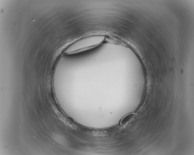 X0000086050345200704202041